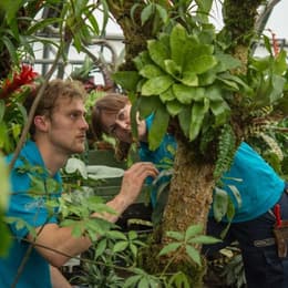 Garden011 1400x913 1