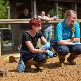 Keeper for a day