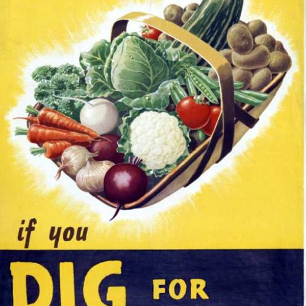 Dig for Victory
