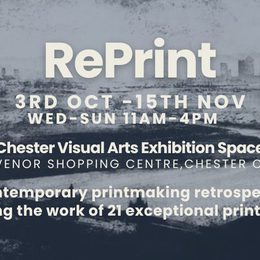 Re Print Promotional Banner Chester Visual Arts v1