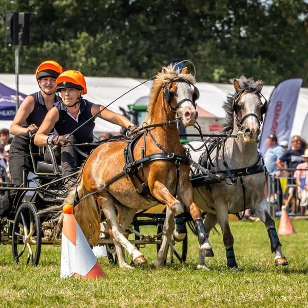 240731 Scurry Nantwich Show PR0653 1024x683