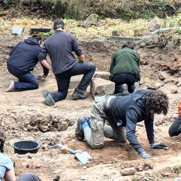 Arch Dig