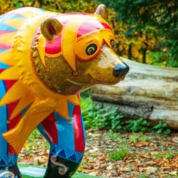 Bear Hunt