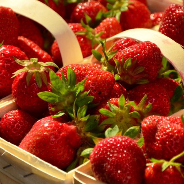 Fruit Picking