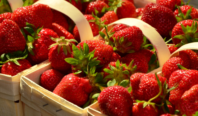 Fruit Picking