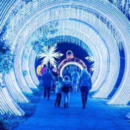 Land of Lights3