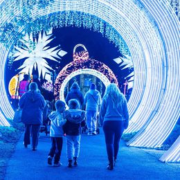 Landof Lights
