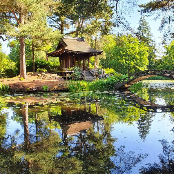 Shinto Shrine Japanese Garden Summer