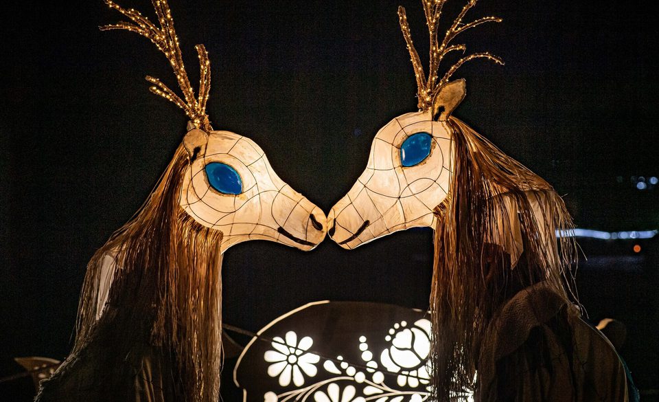 The20 Lanterns20return20this20 Christmas20at20 Chester20 Zoo2040