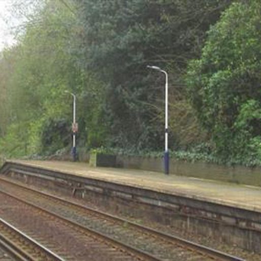 Cuddington